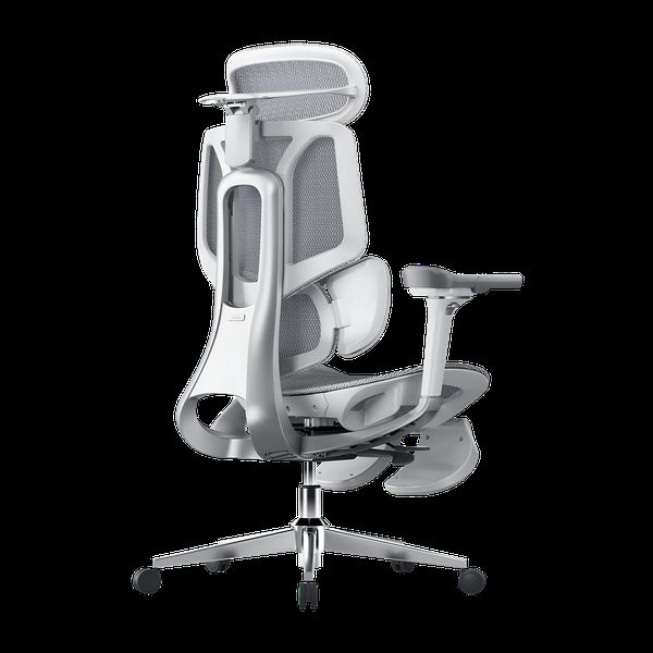 Hbada Ergonomic Office Chair